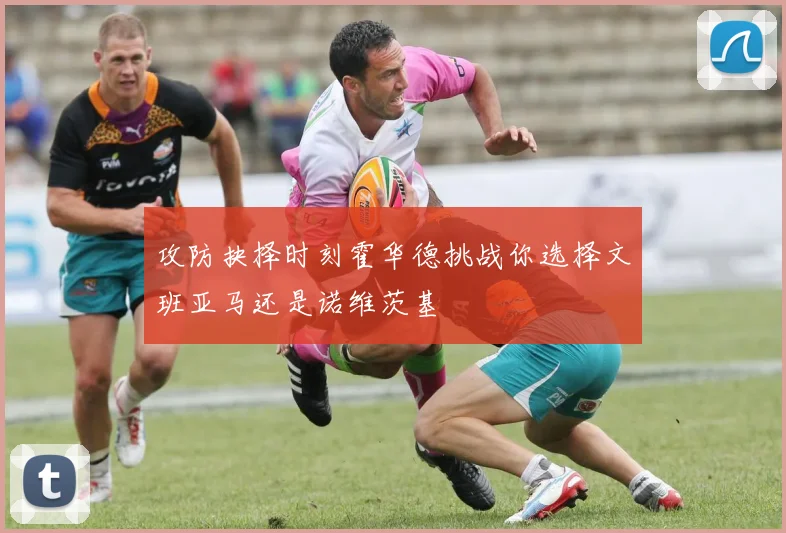 攻防抉择时刻霍华德挑战你选择文班亚马还是诺维茨基
